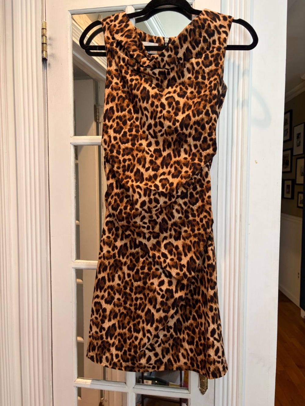 Sara Campbell Ruched Leopard Dress